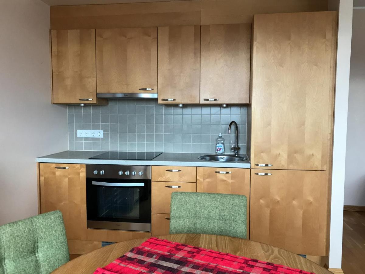 טאלין Large, Comfortable, Quiet - Luxury Apartment Minutes From Old Town מראה חיצוני תמונה